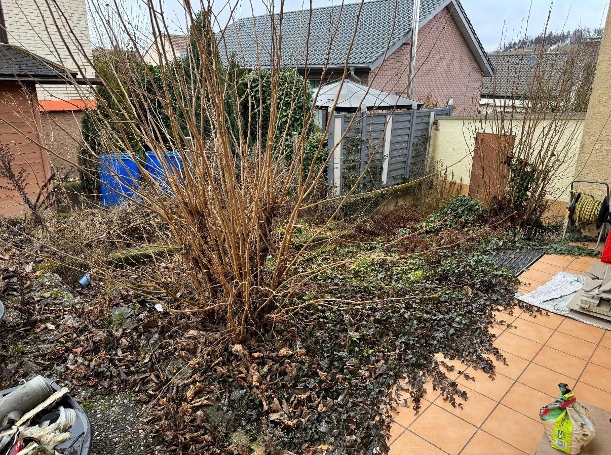 Garten aufgeräumt – Gartenpflege in Region Heilbronn – Vorher